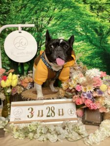 仙台ペット宿R with dogご宿泊頂きましわんちゃんのご紹介