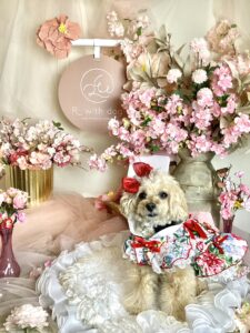 仙台ペット宿R with dogご宿泊頂きましわんちゃんのご紹介