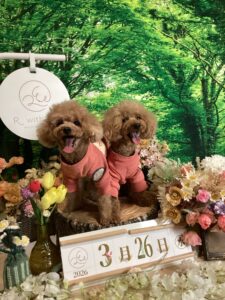 仙台ペット宿R with dogご宿泊頂きましわんちゃんのご紹介