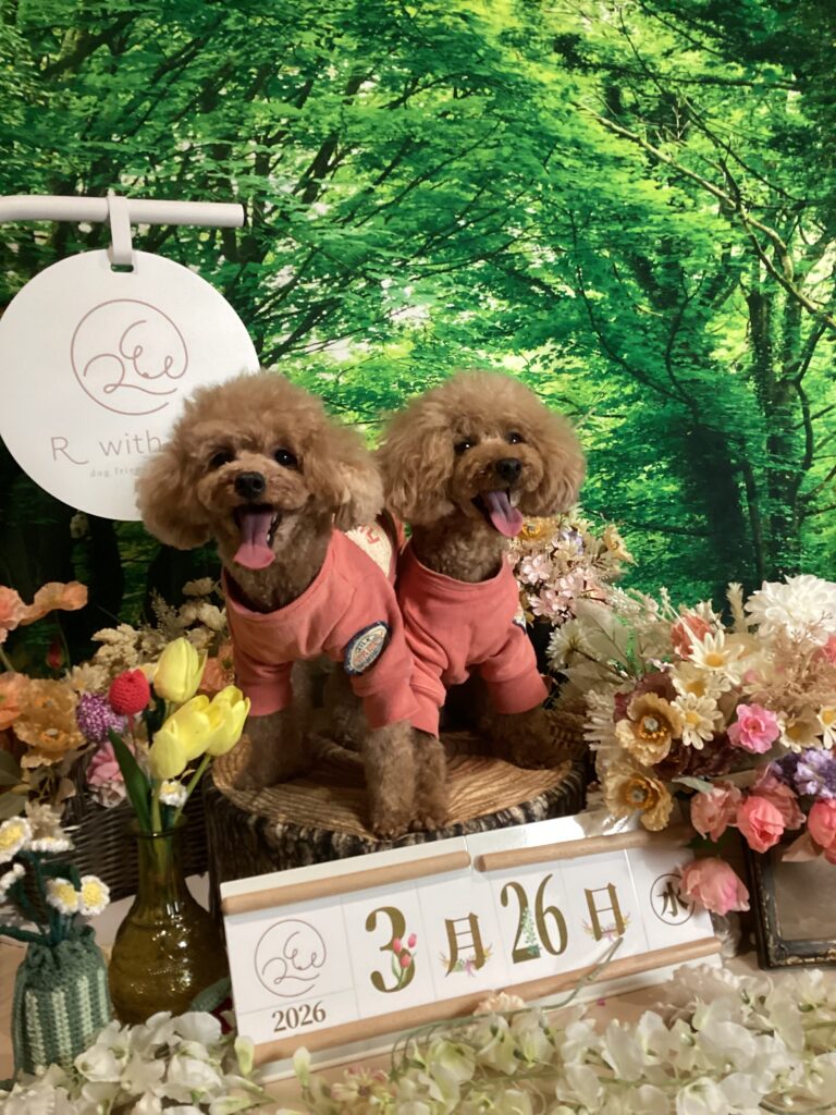 仙台ペット宿R with dogご宿泊頂きましわんちゃんのご紹介