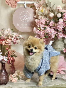 仙台ペット宿R with dogご宿泊頂きましたわんちゃんのご紹介