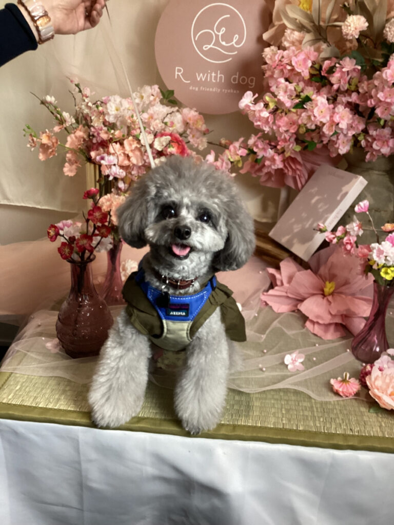 仙台ペット宿R with dogご宿泊頂きましたわんちゃんのご紹介