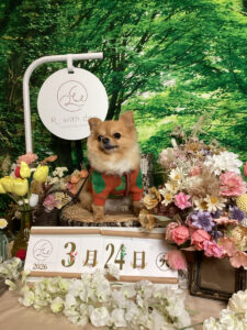 仙台ペット宿R with dogご宿泊頂きましたわんちゃんのご紹介