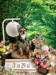 仙台ペットR with dogご宿泊わんちゃんのご紹介