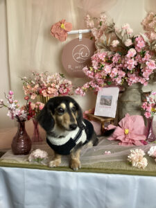 仙台ペット宿R with dogご宿泊頂きましたわんちゃんのご紹介
