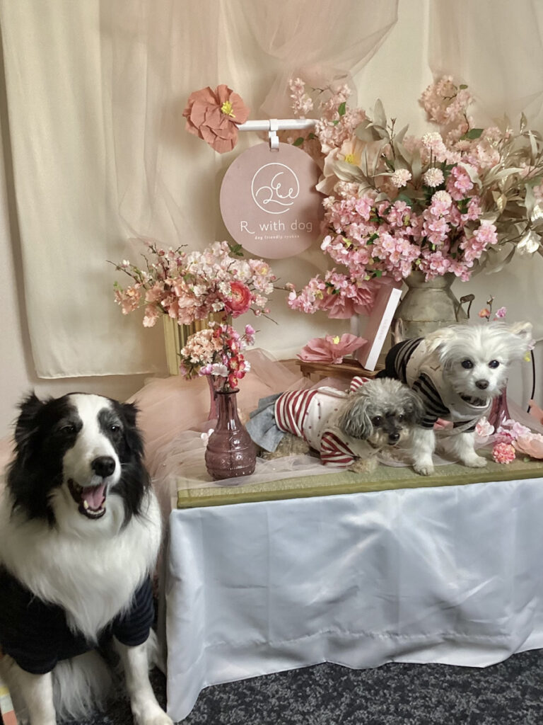 仙台ペット宿R with dogご宿泊頂きましたわんちゃんのご紹介