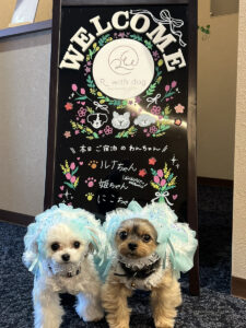 仙台ペット宿R with dogご宿泊頂きましわんちゃんのご紹介