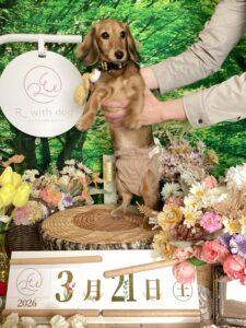 仙台ペット宿R with dogご宿泊頂きましたわんちゃんのご紹介