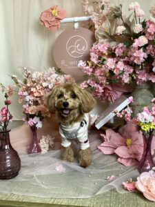 仙台ペット宿R with dogご宿泊頂きましわんちゃんのご紹介