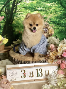 仙台ペット宿R with dogご宿泊頂きましたわんちゃんのご紹介