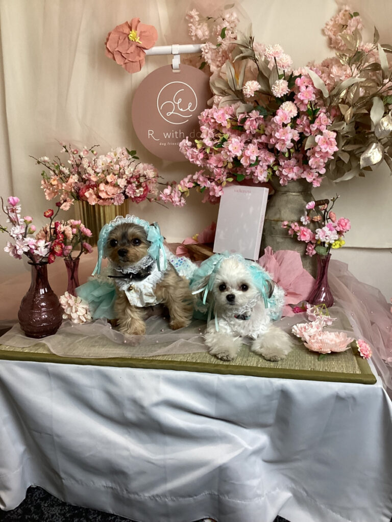 仙台ペット宿R with dogご宿泊頂きまし太わんちゃんのご紹介