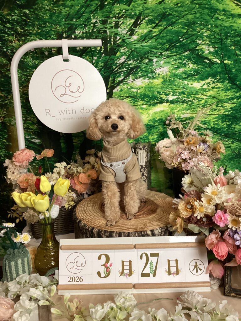 仙台ペット宿R with dogご宿泊頂きましわんちゃんのご紹介