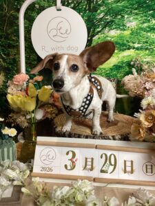 仙台ペット宿R with dogご宿泊頂きましわんちゃんのご紹介