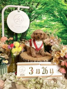 仙台ペット宿R with dogご宿泊頂きましわんちゃんのご紹介