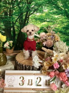 仙台ペット宿R with dogご宿泊頂きましわんちゃんのご紹介