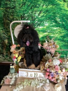 仙台ペット宿R with dogご宿泊頂きましたわんちゃんのご紹介