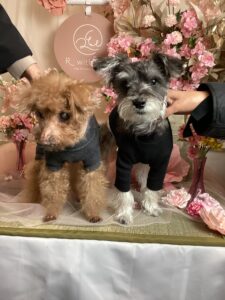 仙台ペット宿R with dogご宿泊頂きましたわんちゃんのご紹介