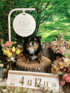 仙台ペット宿R with dogご宿泊頂きましたわんちゃんのご紹介