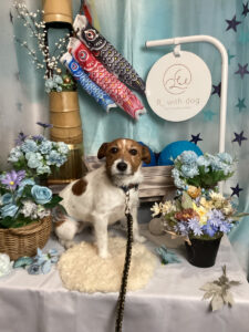 仙台ペット宿R with dogご宿泊頂きましたわんちゃんのご紹介