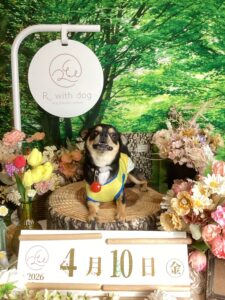 仙台ペット宿R with dogご宿泊頂きましわんちゃんのご紹介