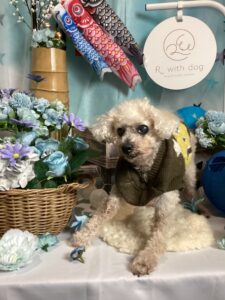 仙台ペット宿R with dogご宿泊頂きましわんちゃんのご紹介