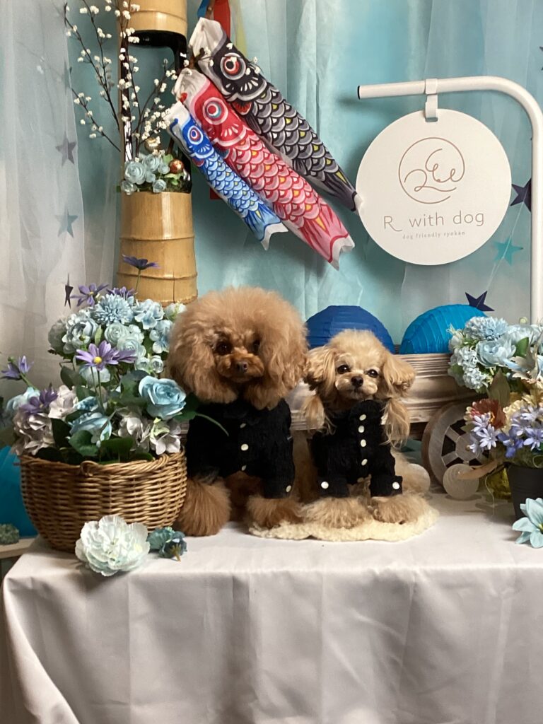 仙台ペット宿R with dogご宿泊頂きましわんちゃんのご紹介