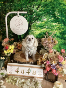 仙台ペット宿R with dogご宿泊頂きましたわんちゃんのご紹介