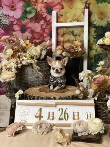 仙台ペット宿R with dogご宿泊頂きましわんちゃんのご紹介