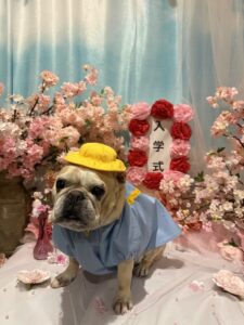 仙台ペット宿R with dogご宿泊頂きましわんちゃんのご紹介