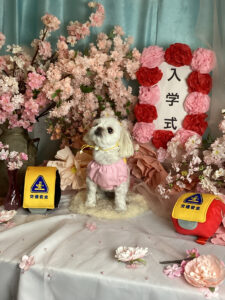 仙台ペット宿R with dogご宿泊頂きましたわんちゃんのご紹介