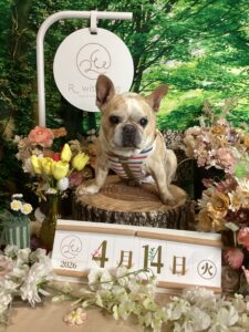 仙台ペット宿R with dogご宿泊頂きましわんちゃんのご紹介