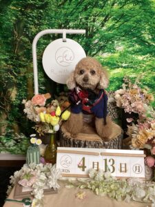 仙台ペット宿R with dogご宿泊頂きましわんちゃんのご紹介