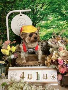 仙台ペット宿R with dogご宿泊頂きましたわんちゃんのご紹介