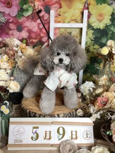 仙台ペット宿R with dogご宿泊頂きましわんちゃんのご紹介
