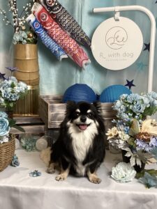 仙台ペット宿R with dogご宿泊頂きましたわんちゃんのご紹介