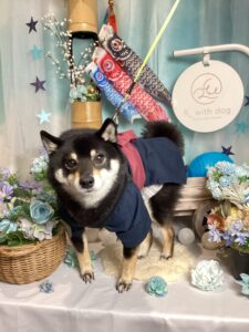 仙台ペット宿R with dogご宿泊頂きましわんちゃんのご紹介
