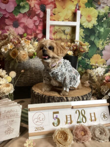 仙台ペット宿R with dogご宿泊頂きましたわんちゃんのご紹介