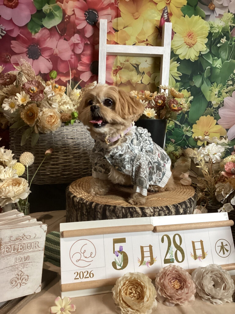 仙台ペット宿R with dogご宿泊頂きましたわんちゃんのご紹介