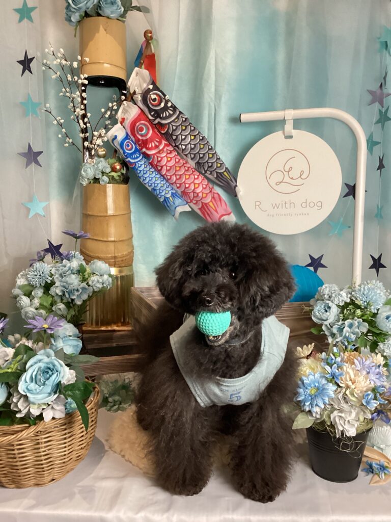 仙台ペット宿R with dogご宿泊頂きましわんちゃんのご紹介
