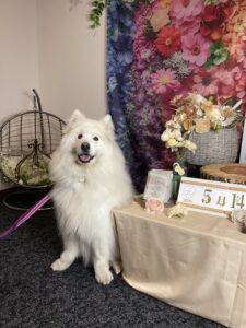 仙台ペット宿R with dogご宿泊頂きましわんちゃんのご紹介