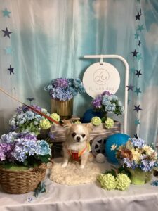 仙台ペット宿R with dogご宿泊頂きましたわんちゃんのご紹介
