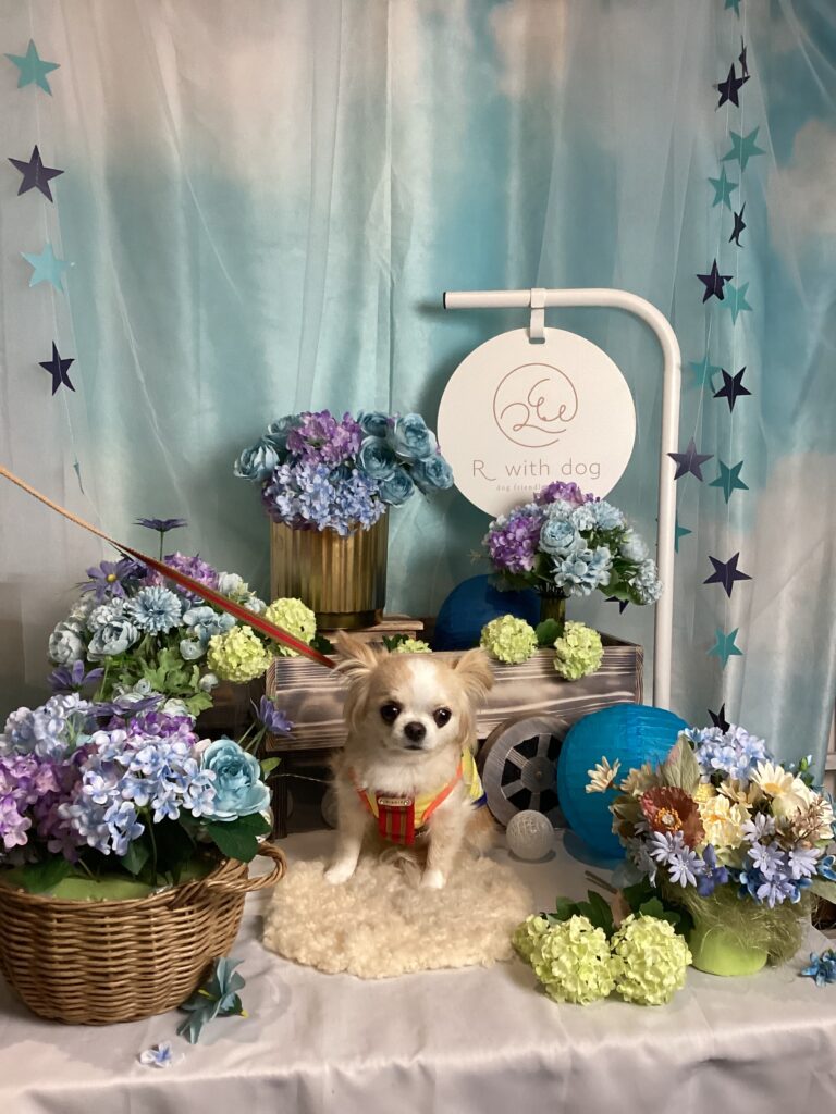 仙台ペット宿R with dogご宿泊頂きましたわんちゃんのご紹介