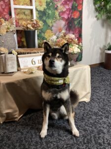 仙台ペット宿R with dogご宿泊頂きましたわんちゃんのご紹介