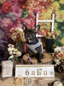 仙台ペット宿R with dogご宿泊頂きましたわんちゃんのご紹介