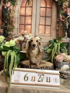 仙台ペット宿R with dogご宿泊頂きましたわんちゃんのご紹介