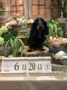 仙台ペット宿R with dogご宿泊頂きましたわんちゃんのご紹介