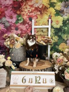 仙台ペット宿R with dogご宿泊頂きましたわんちゃんのご紹介
