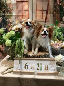 仙台ペット宿R with dogご宿泊頂きましたわんちゃんのご紹介