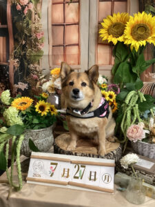 仙台ペット宿R with dogご宿泊頂きましたわんちゃんのご紹介