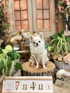 仙台ペット宿R with dogご宿泊頂きましたわんちゃんのご紹介